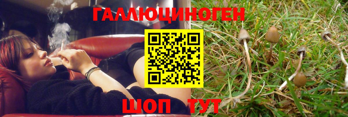 Нягань  Псилоцибиновые грибы MAGIC MUSHROOMS  Псилоцибиновые грибы Cubensis  Вход с VPN 