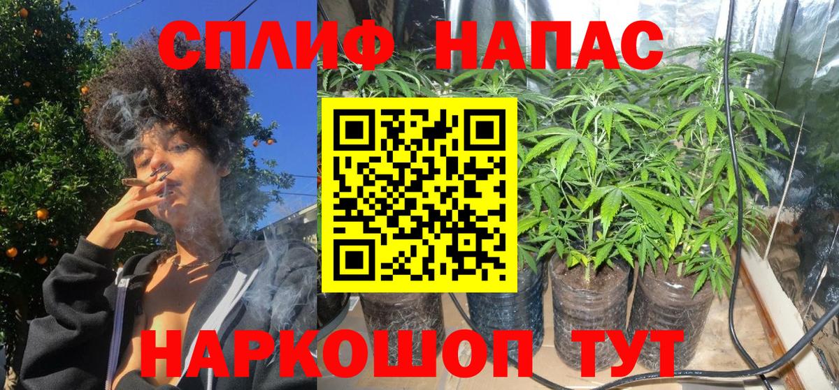 Марихуана план Нягань